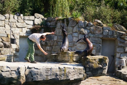 Ausflug in den Zoo