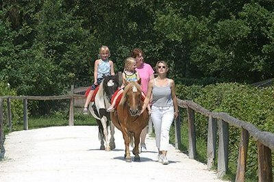 Ponyhof Lochmhle